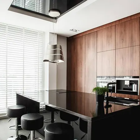 135mkw Z Dwoma Tarasami Loft 52 Apartment *