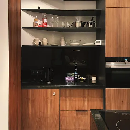 Apartment 135mkw Z Dwoma Tarasami Loft 52 *